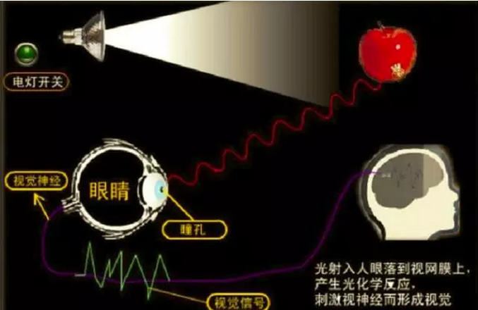 商業店鋪照明要點和燈光設計手法 商業店鋪照明要點和燈光設計手法